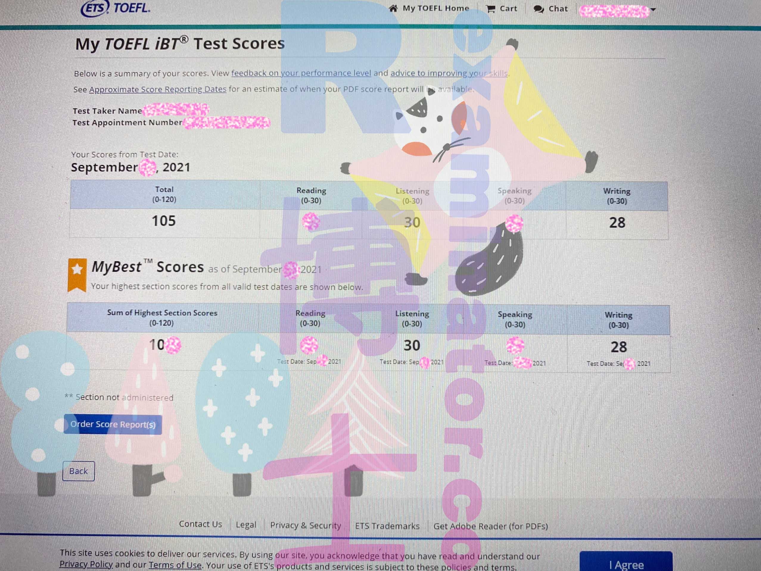 Erfolgsbild für Betrug im TOEFL Erfolgsgeschichte #209