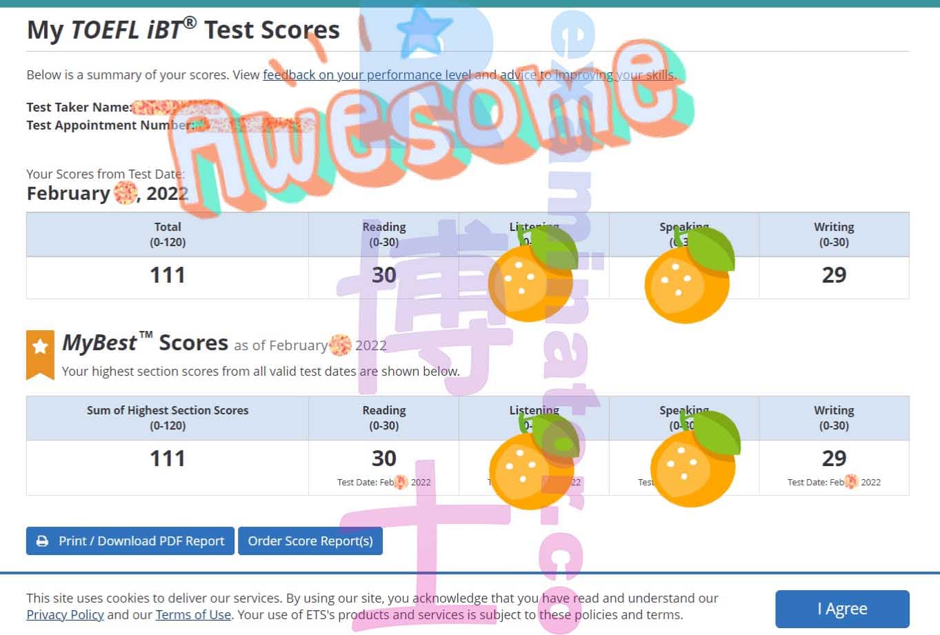 Erfolgsbild für Betrug im TOEFL Erfolgsgeschichte #273